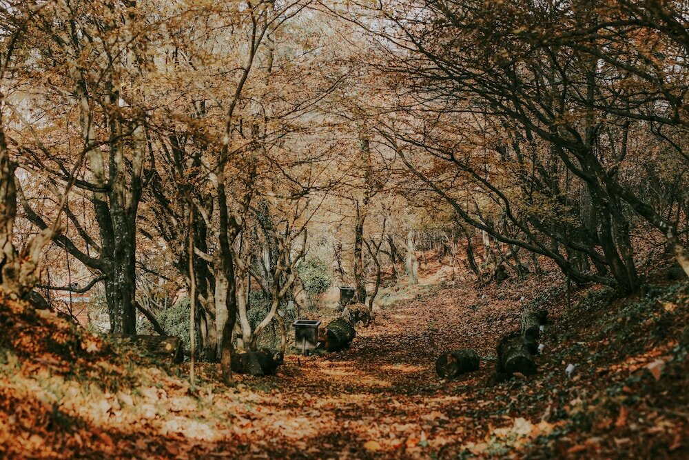 Фото Seventeen Rooms