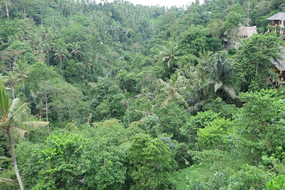 Фото Tirta Asri Ubud Villa