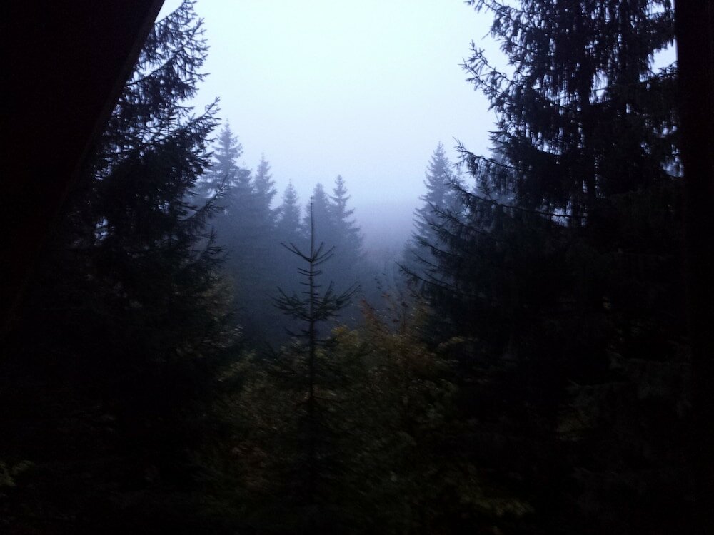 Фото Ski-Lake Cottage Nízke Tatry