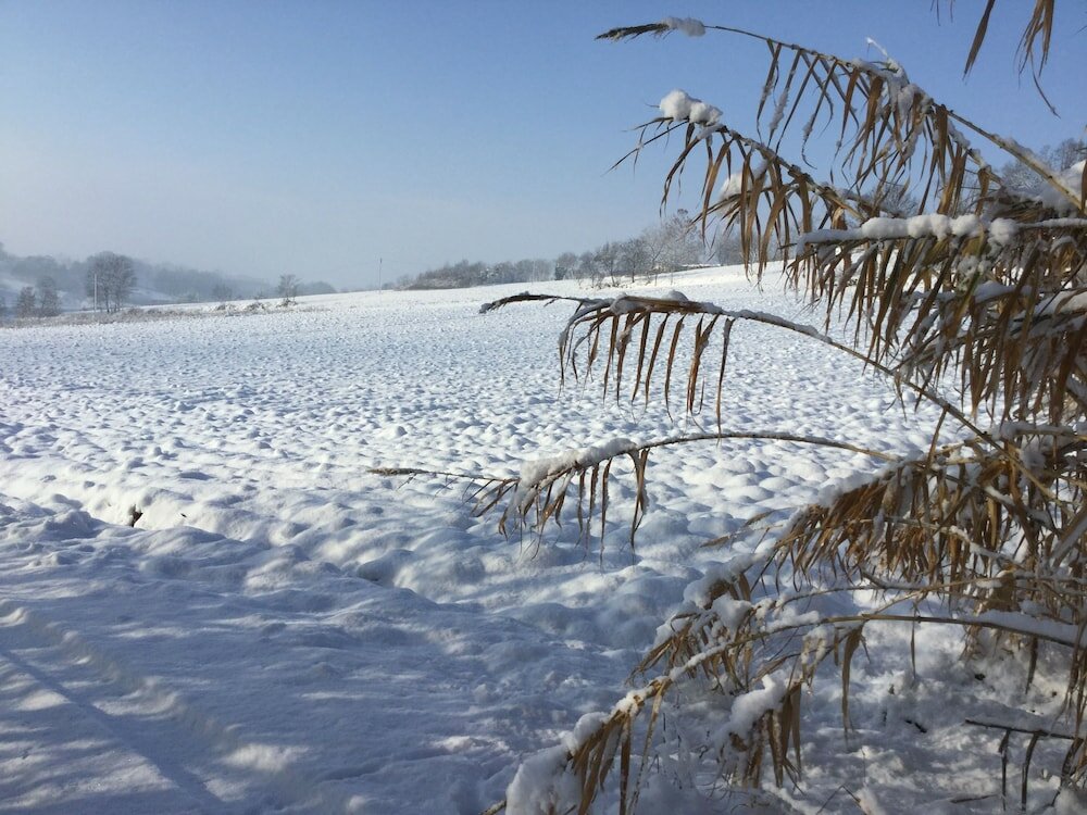 Фото B&b Le Piote