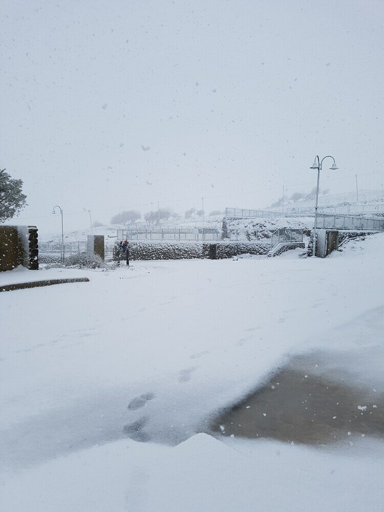 Фото Zimmer Cigale