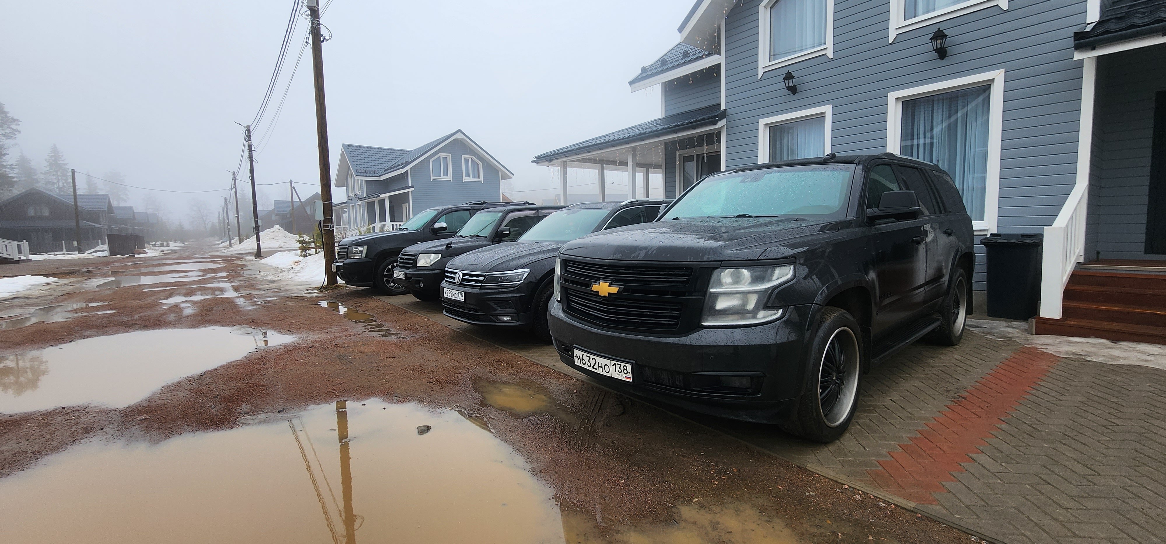 Фото Лесная Сова