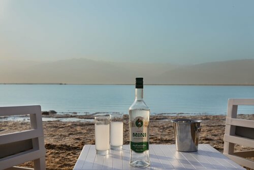 Гостиница Herbert Samuel Milos Dead Sea в Эйн-Бокеке