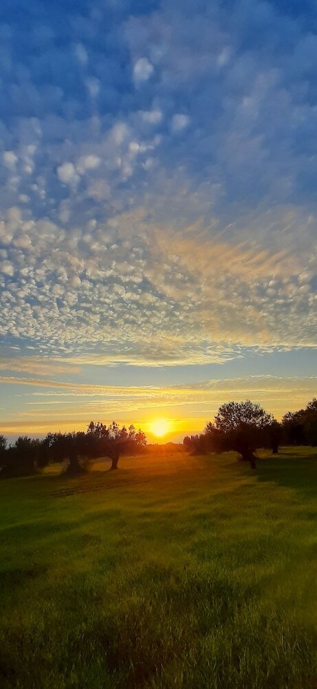 Фото Villa Elaionas 1