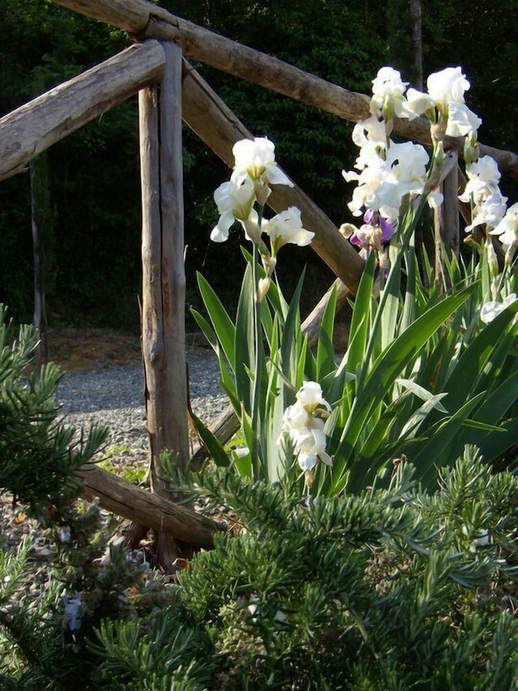 Фото Agriturismo Fattoria La Prugnola