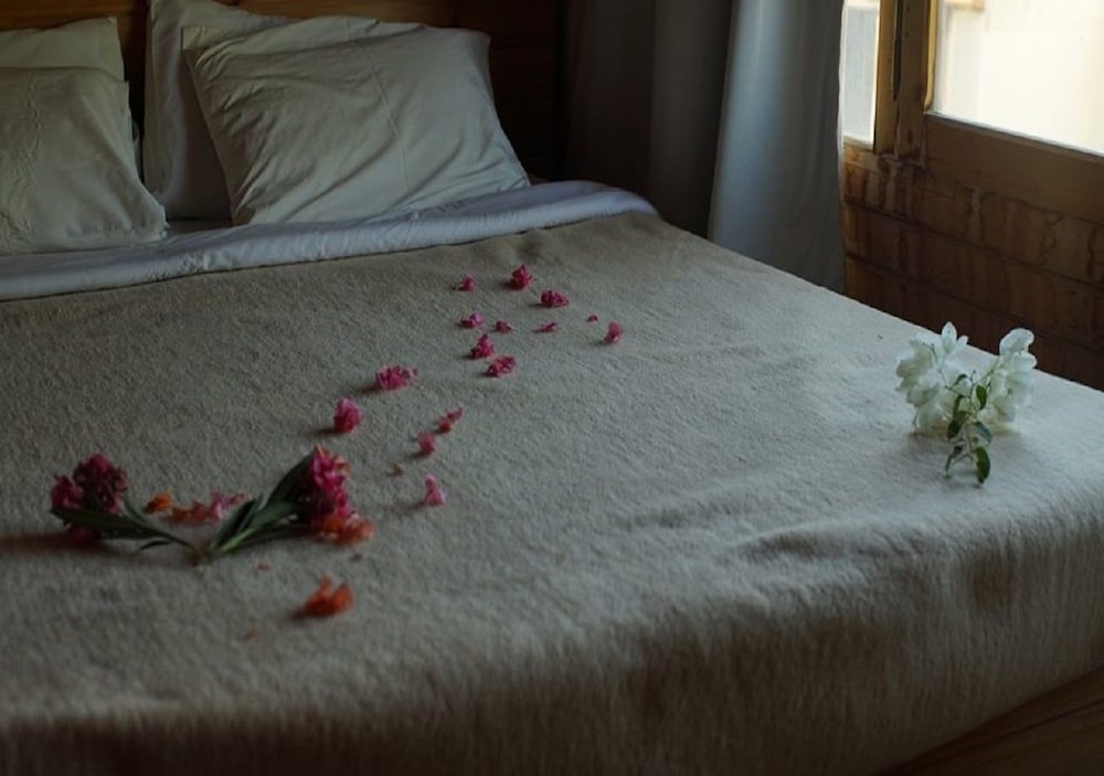 Фото Nuweiba Lodge