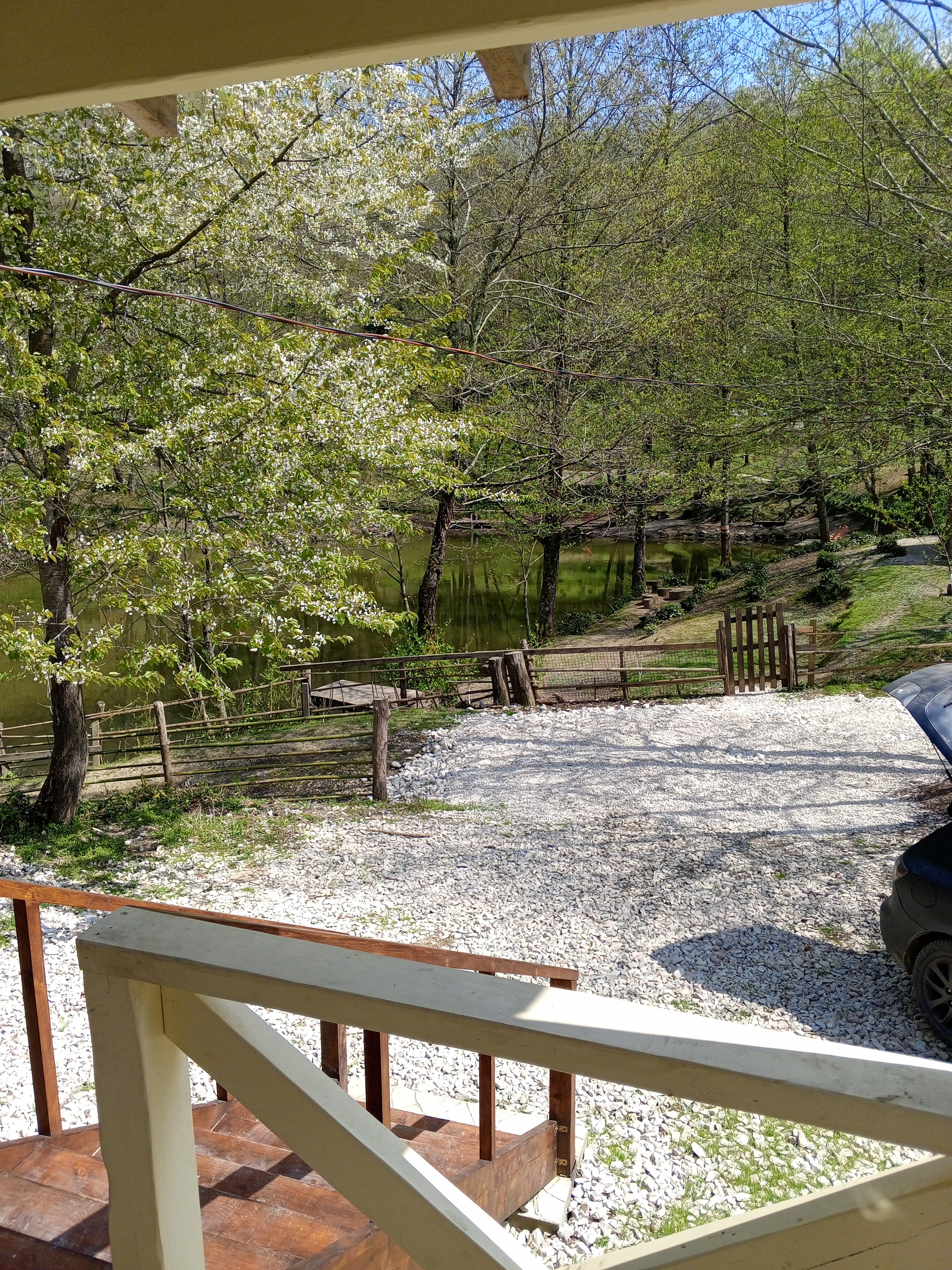 Фото Озеро Ольховое