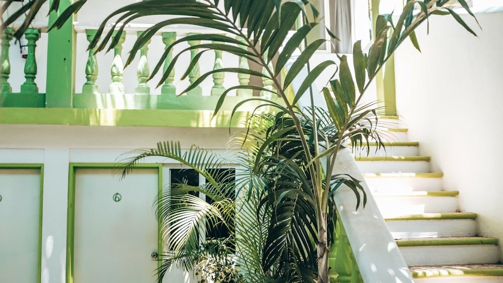 Фото Hotel Mundo Maya