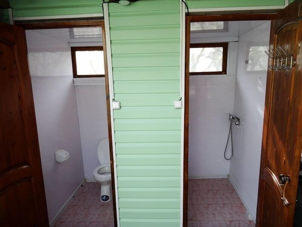 Фото Ласточка