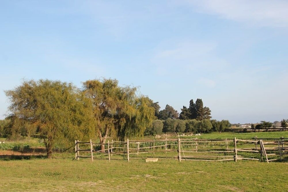 Фото Podere San Martino