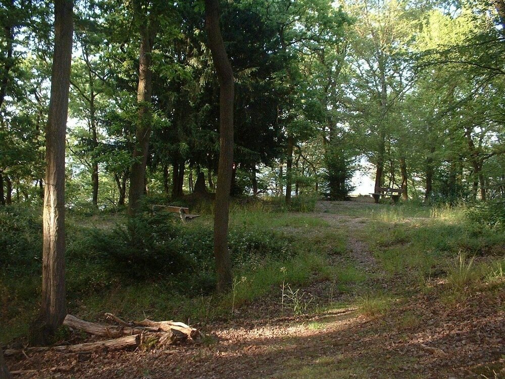 Фото Hotel Niederée