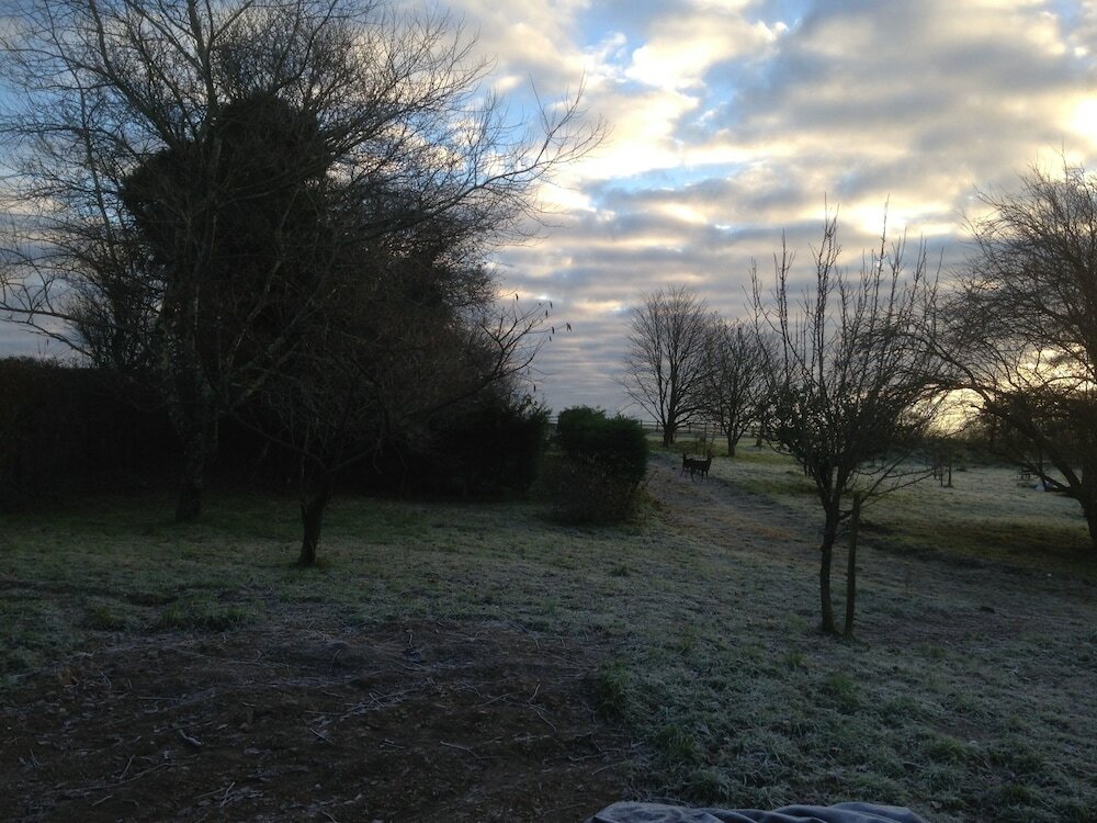 Фото Cadleigh Manor B&b