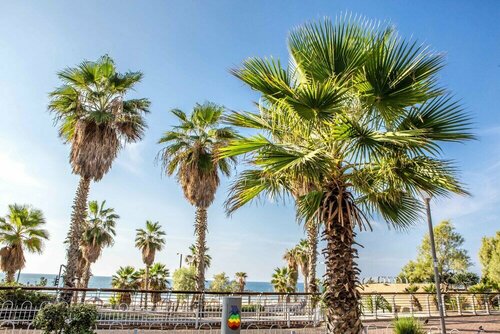 Гостиница המיקום הטוב ביותר 3 Br 50m חוף חניה в Тель-Авиве