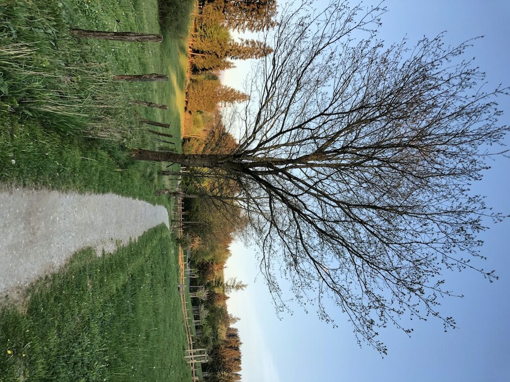 Фото Hotel zur Post