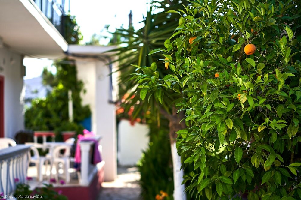 Фото Гостевой Дом Fardini Seaside