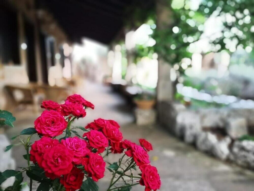 Фото Masseria Borgo del Gallo