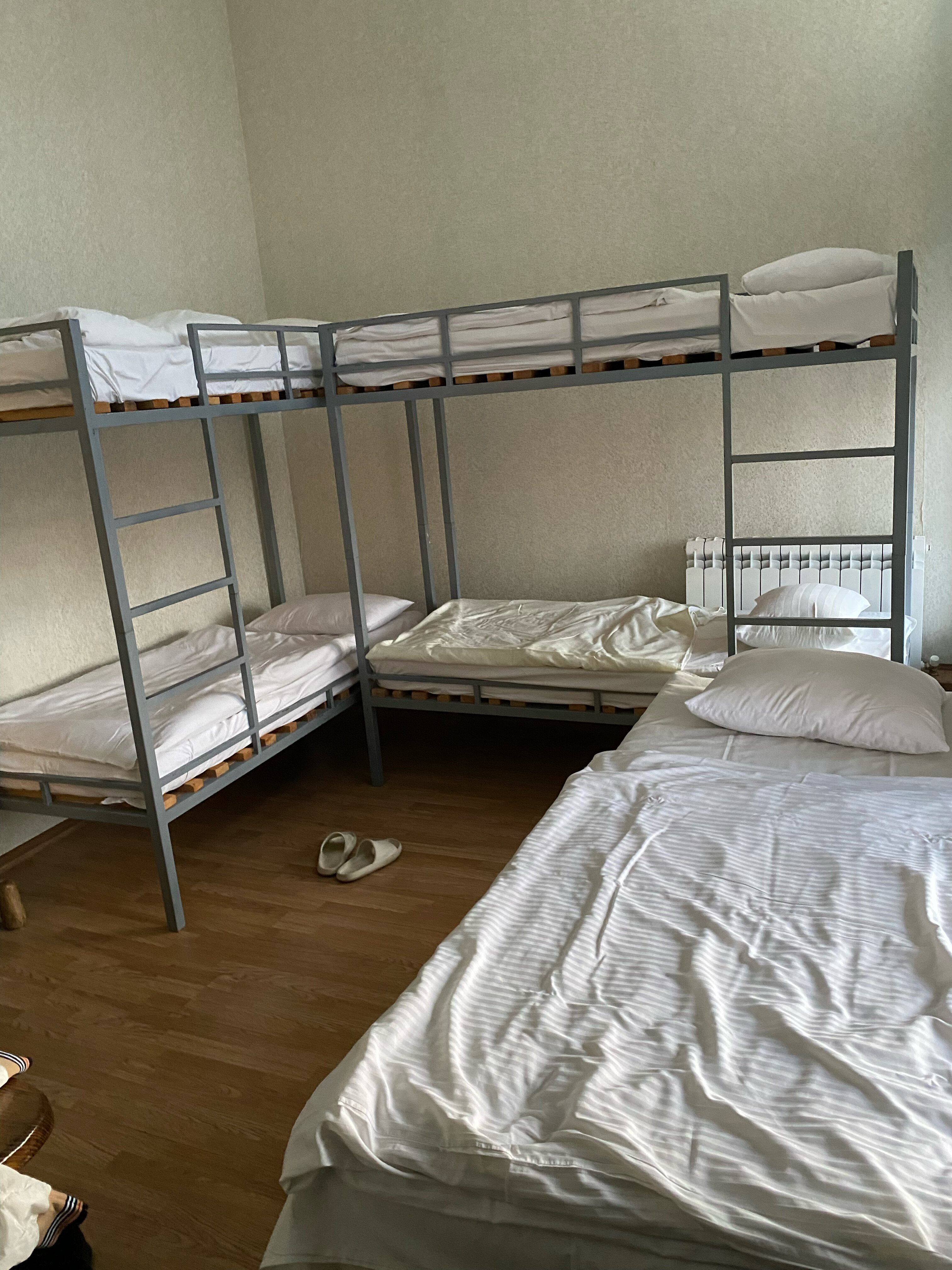 Фото Аристократ