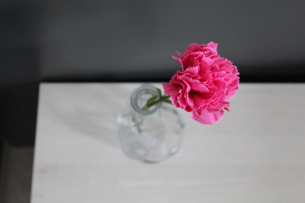 Фото Garni Hotel 11Tica DM