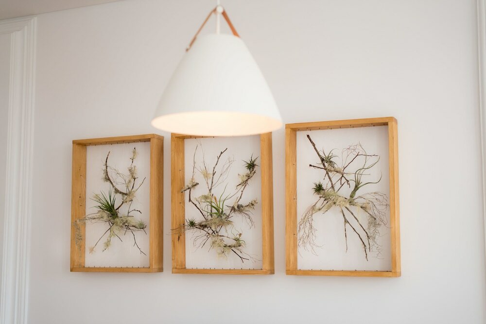 Фото Apartamentos Praça Amarela