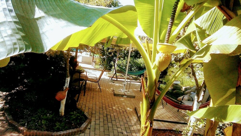 Фото Hotel Amigo I