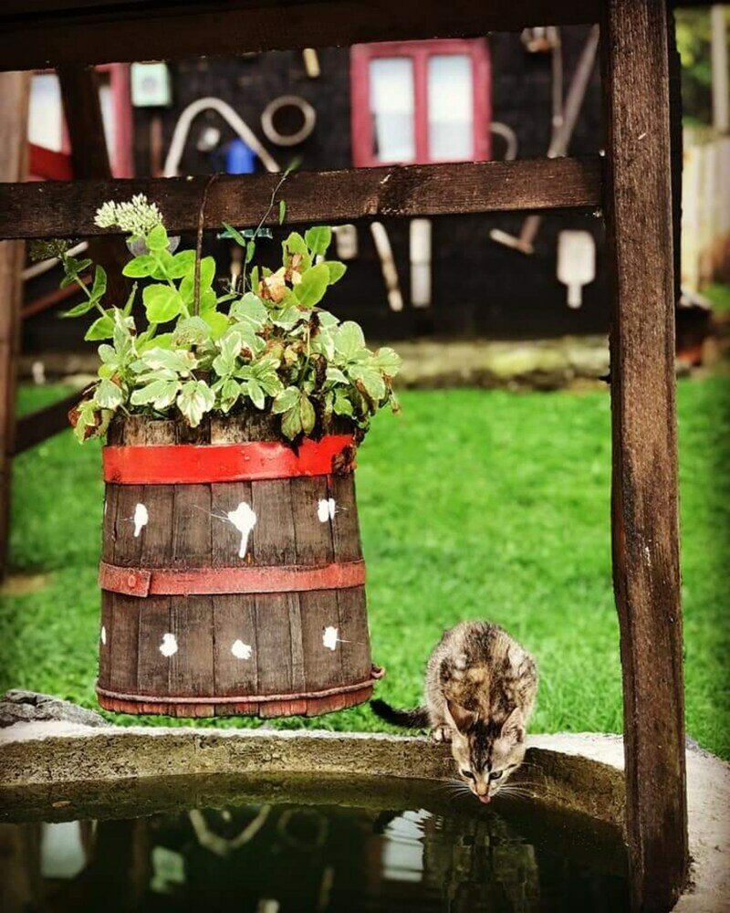 Фото Apartment Sarganska Osmica 8