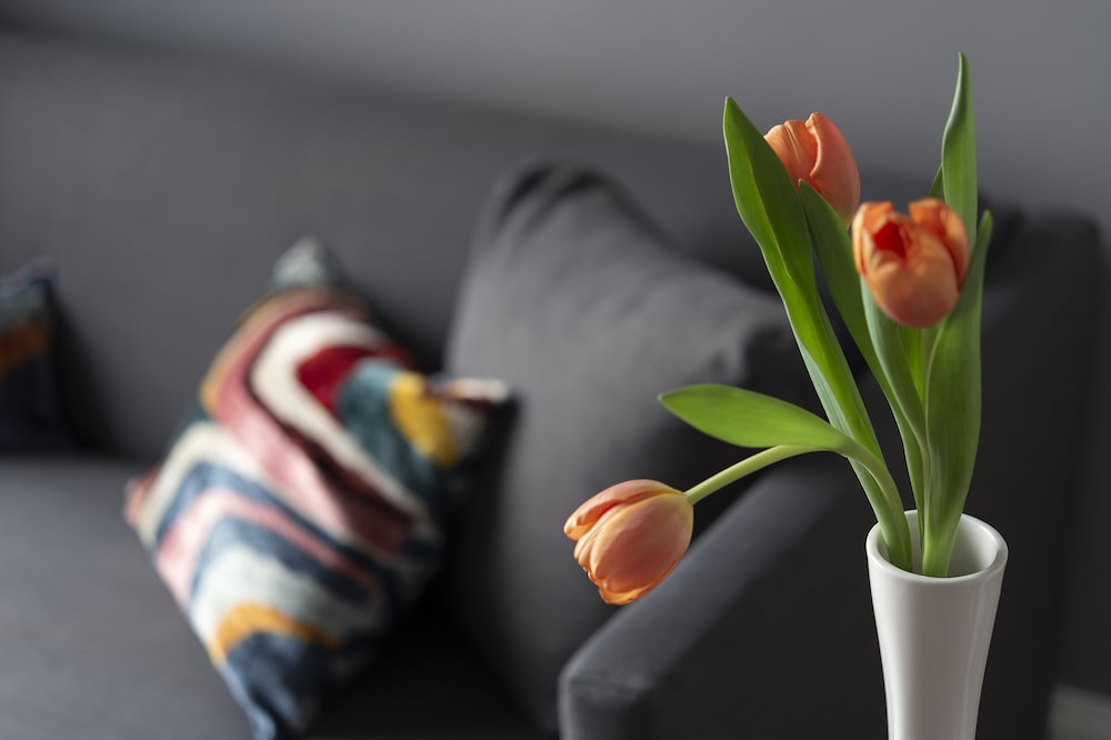 Фото Butterfly Boutique Rooms