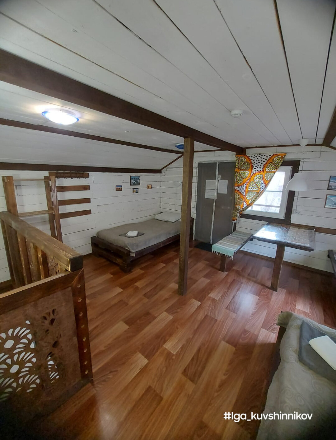 Фото Большие Коты