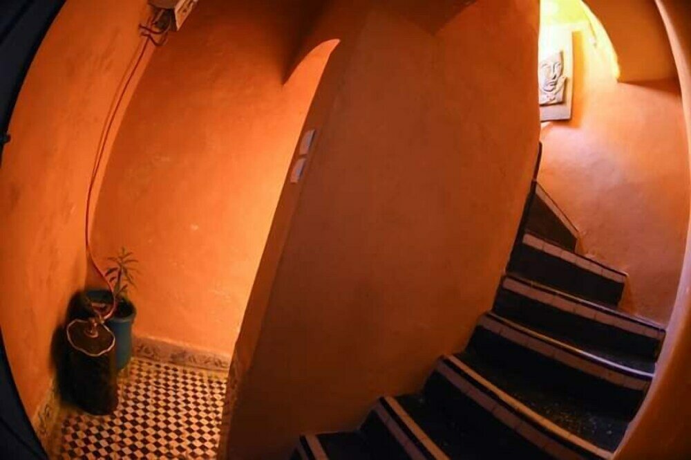 Фото Seagulls Hostel