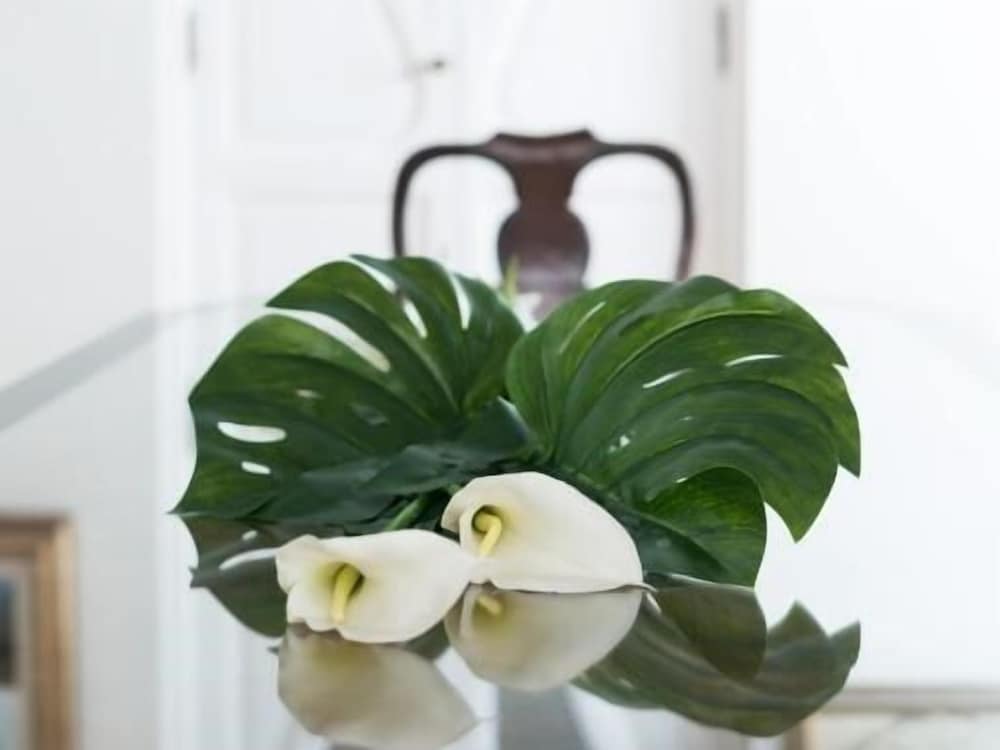 Фото Villa el Porto