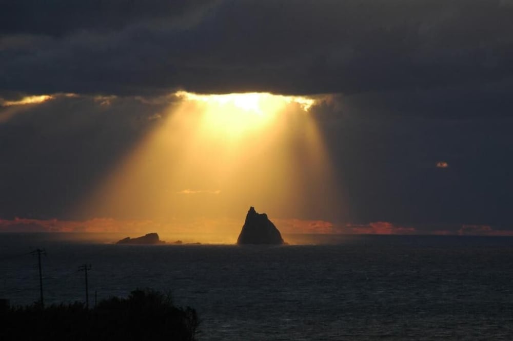 Фото Snapper inn