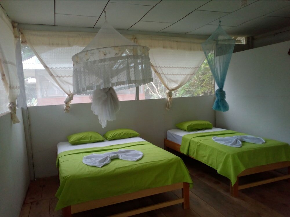 Фото Amazon Canopy Expeditions Ecolodge