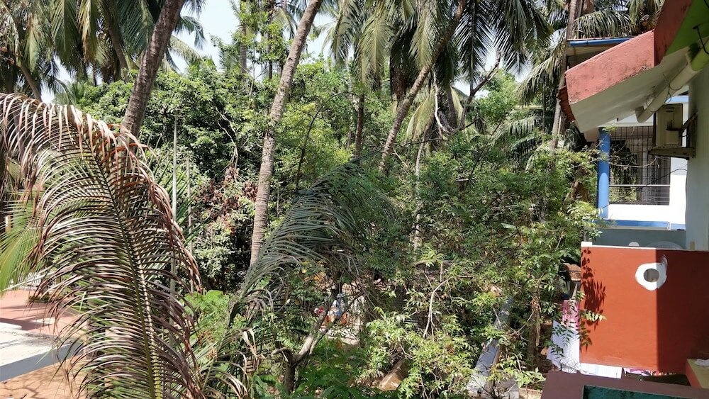 Фото Hotel BeachWalk