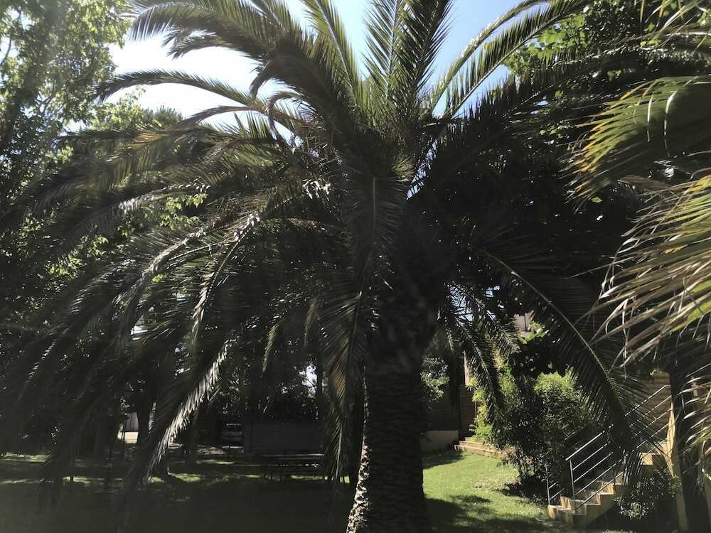 Фото Résidence les Caraibes