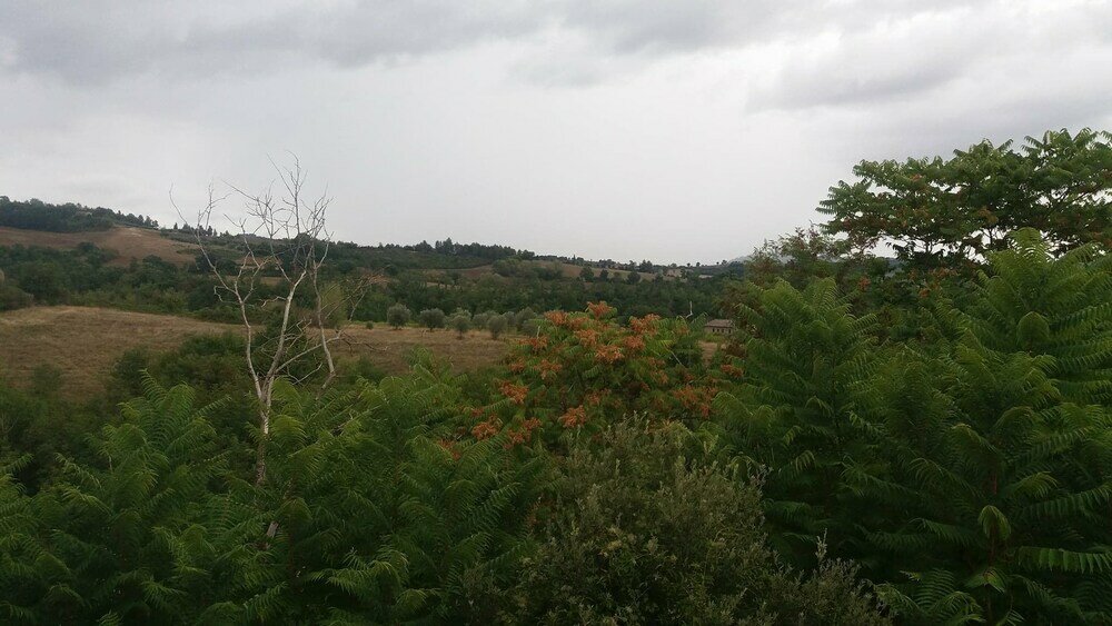 Фото La Collina Degli Ulivi