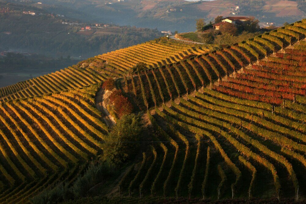 Фото Albergo Castiglione Langhe