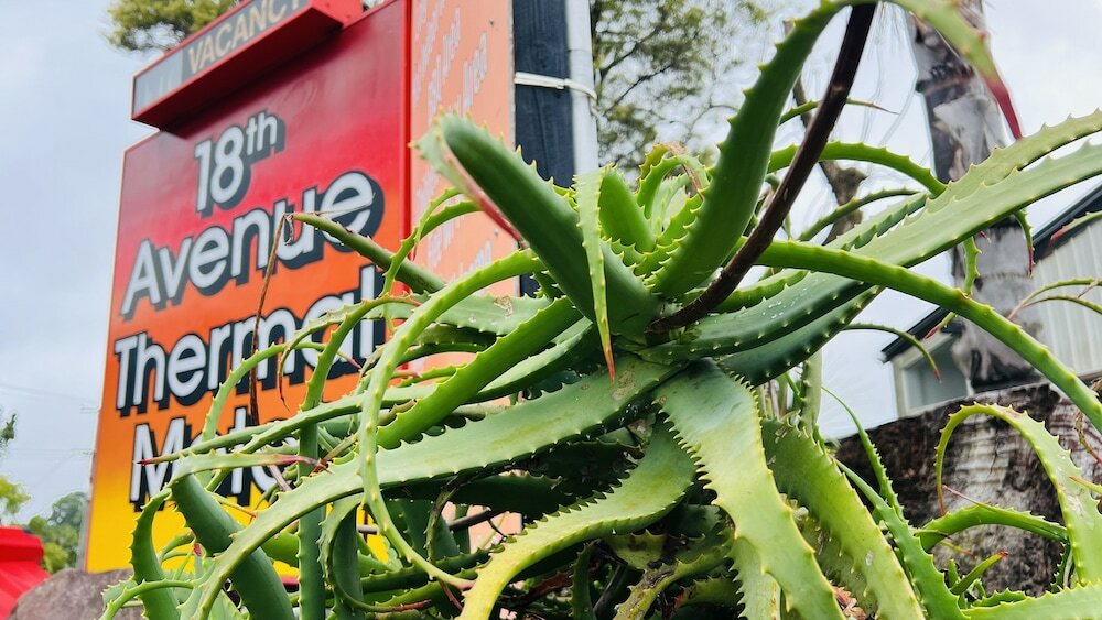 Фото 18th Avenue Thermal Motel