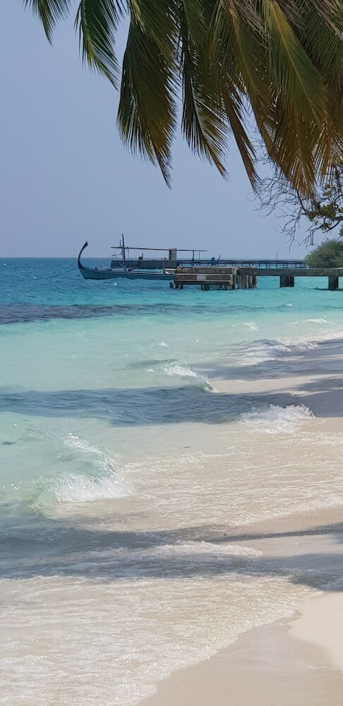 Фото South Ari Inn