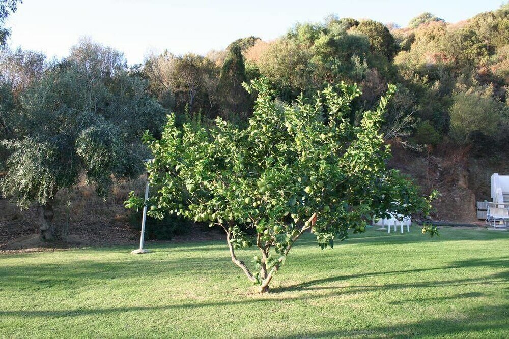 Фото Guesthouse Casavasco