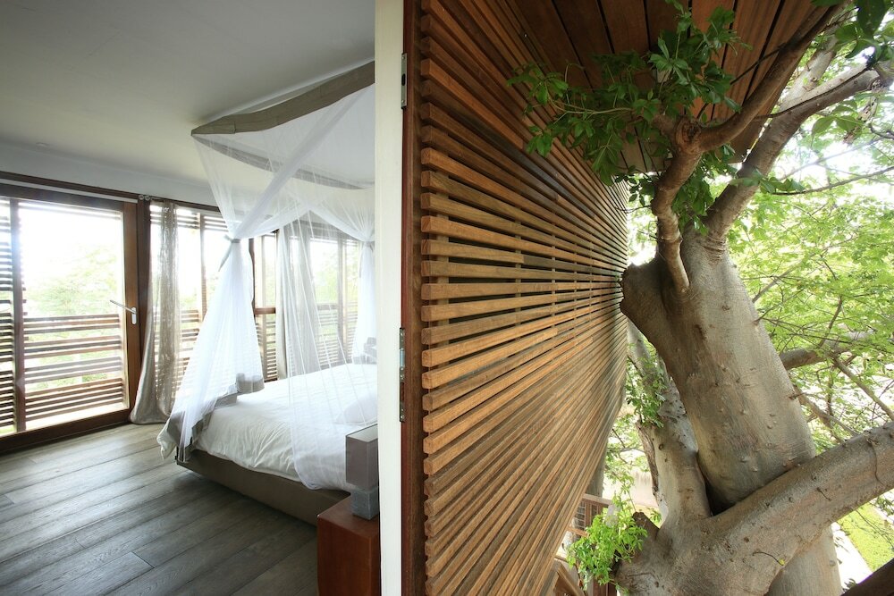 Фото Hotel Les Paletuviers