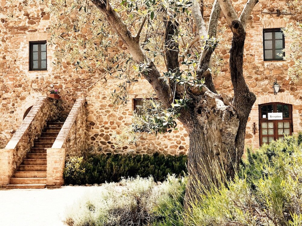 Фото Tenuta Fattoria Vecchia