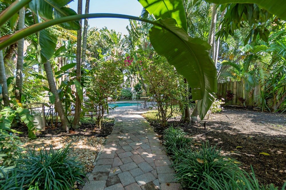 Фото The Palms Cottage Private Pool, Downtown, Beach, The Square