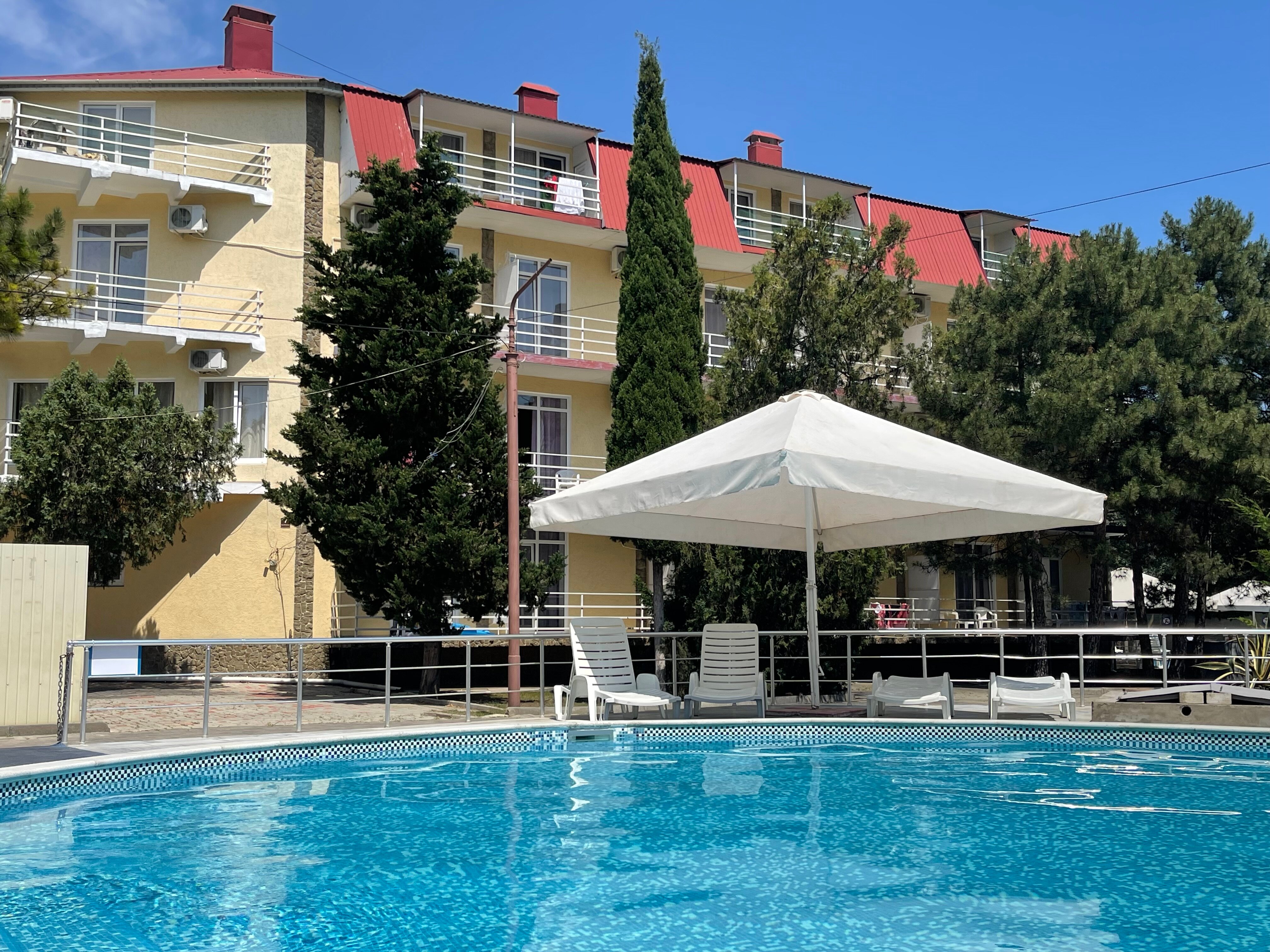 Фото Камелия-Кафа