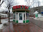 Цветы (Moskovskaya Street, 151/3) ، محل زهور