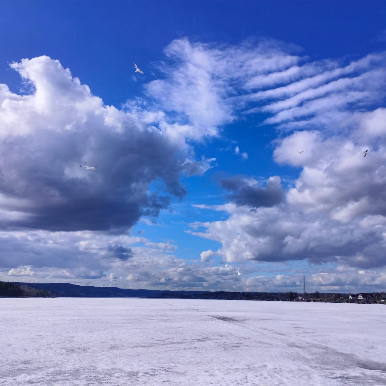 Фото Лахта&Ярви