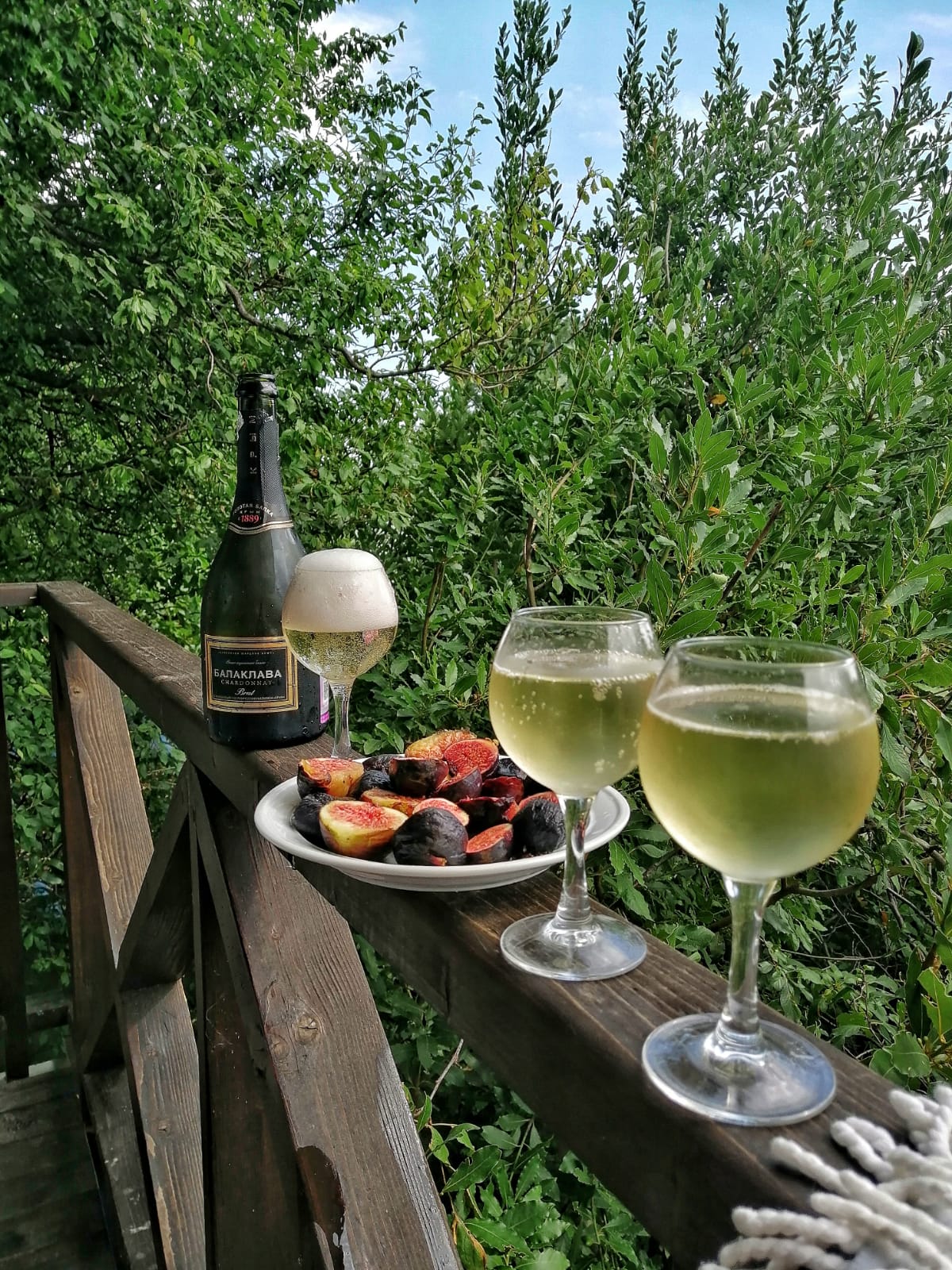 Фото Вилла Босанова