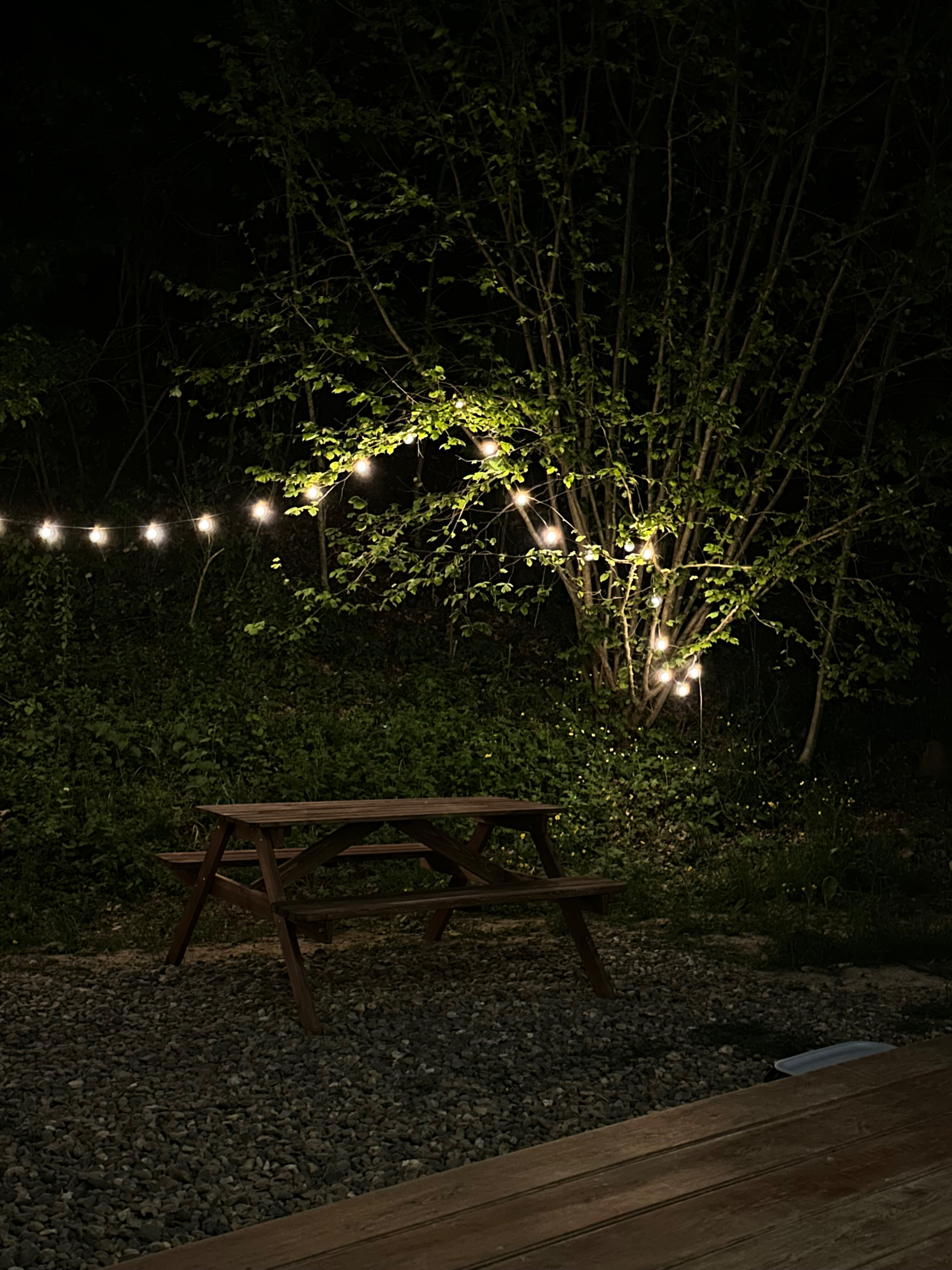 Фото Собер Глэмп