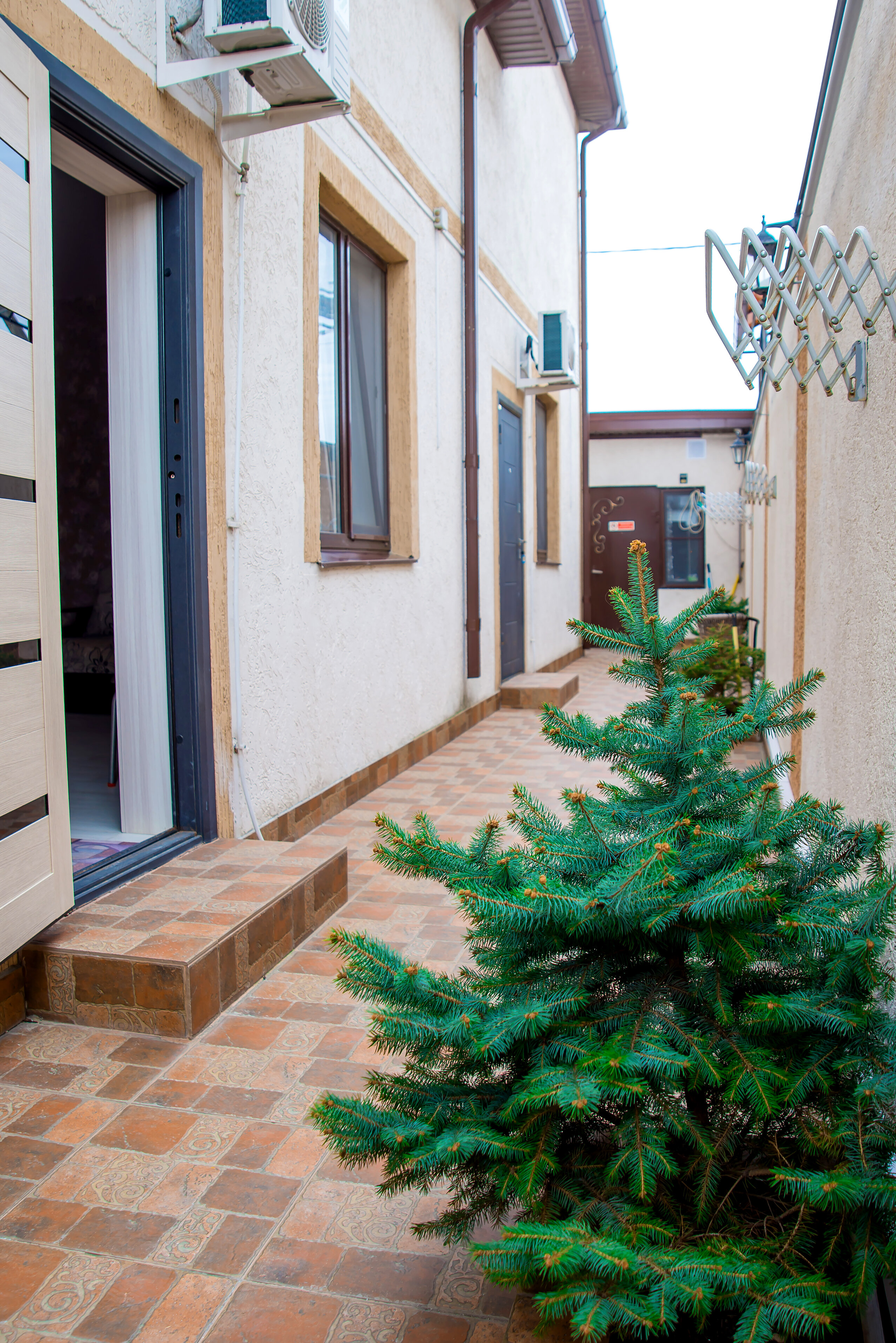 Фото Юлиана