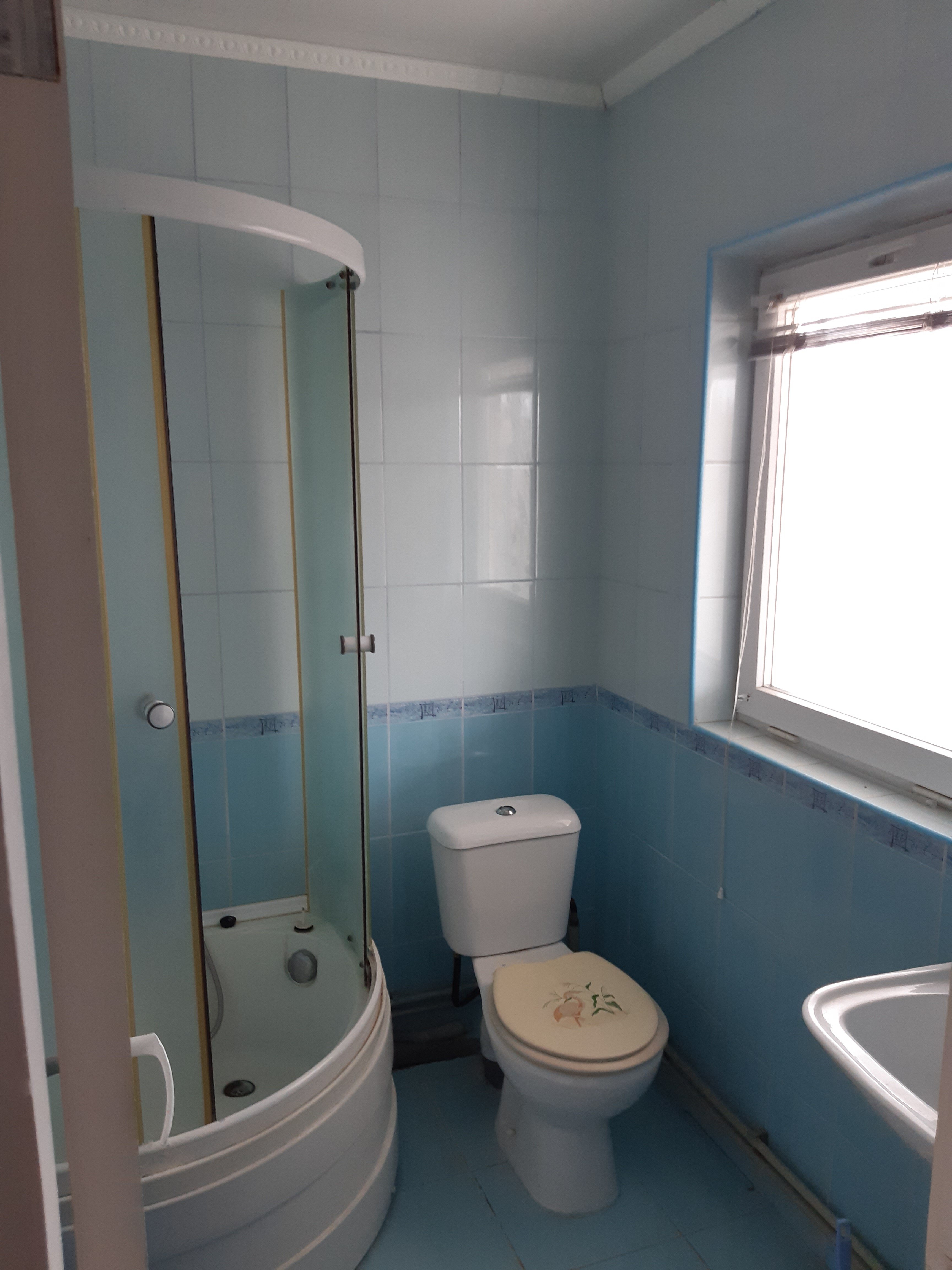 Фото Белая Чайка