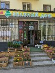 Zelyonyj dom (Abaya Avenue, 170), centro de jardinería