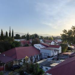 Фото Гиацинт